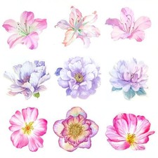 Large Flower Stickers - 30 Pcs Big 4" Clear PET Floral Stickers for Pastel