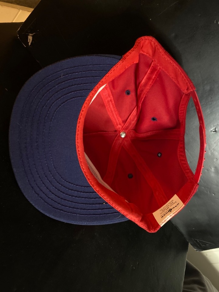 Vintage Baseball Cap LandOLakes Alimentos Para Crianza eBay