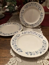 Century Service Corp Semi Vitrious Dinner Plates (3)