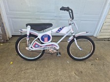 eBay Auction Picture