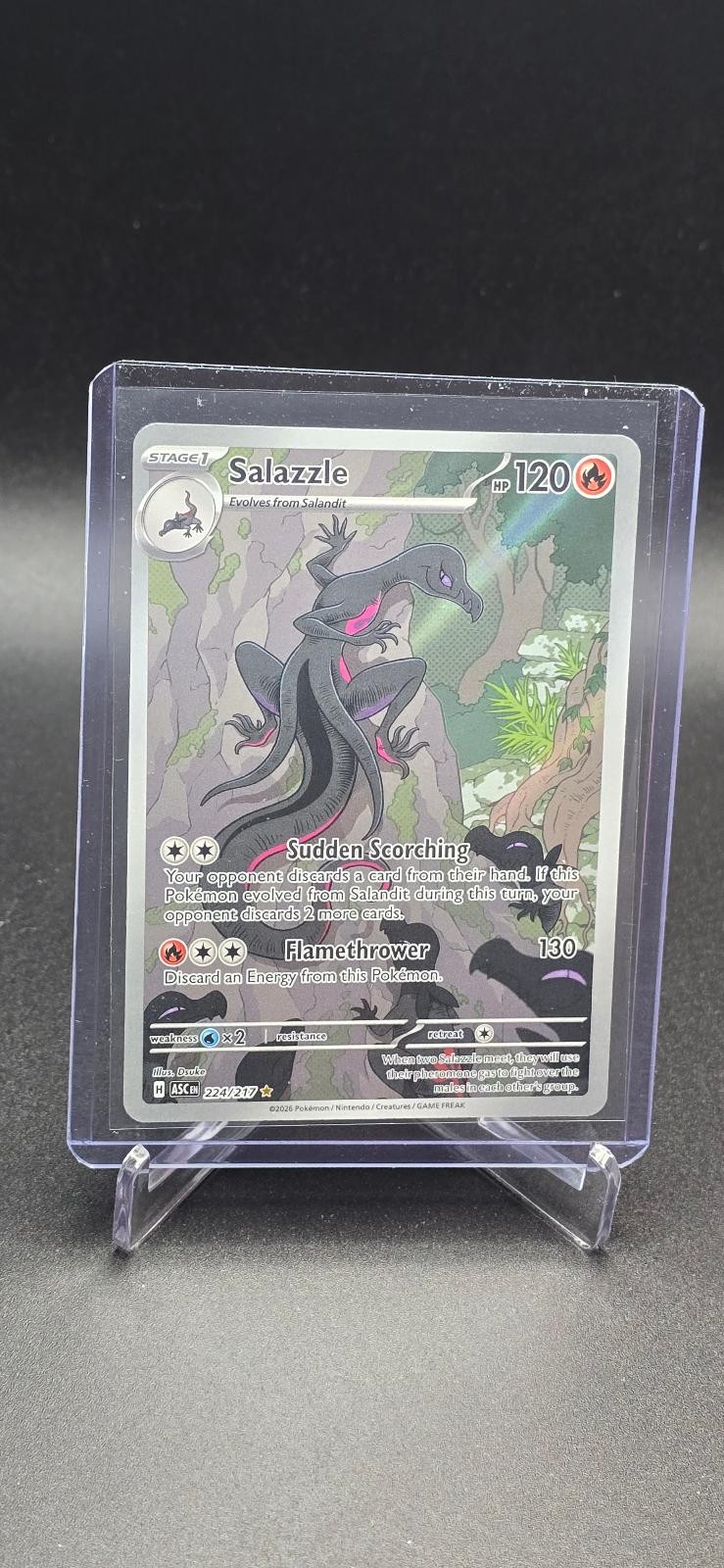 Salazzle 224/217 Illustration Rare Ascended Heroes Pokemon Holo Near Mint
