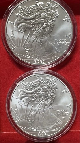 2023-W Burnished American Silver Eagle 1 Oz .999 Silver! West Point Lot Of 2