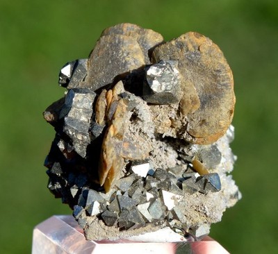 Pyrit & Siderit 55 Gramm - Tazna Mine, Tasna Rosario, Cerro Tazna, Bolivien