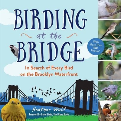 Heather Wolf Birding at the Bridge (Paperback)