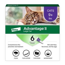 Advantage II Large Cat Vet Recommended Flea Treatment Prevention Cats Over 9