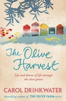 The Olive Harvest | A Memoir Of Love, Old Trees, And Olive Oil | Drinkwater
