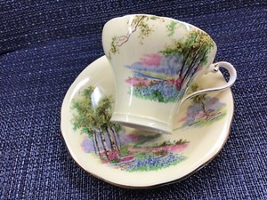 AYNSLEY C493/7 WOODLAND BLUEBELL TIME corset CUP & SAUCER vintage! NEVER USED!!
