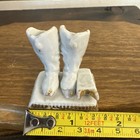 Vintage Porcelain Boot Jack Cigarette & Match Holder & Match Striker — photo 7