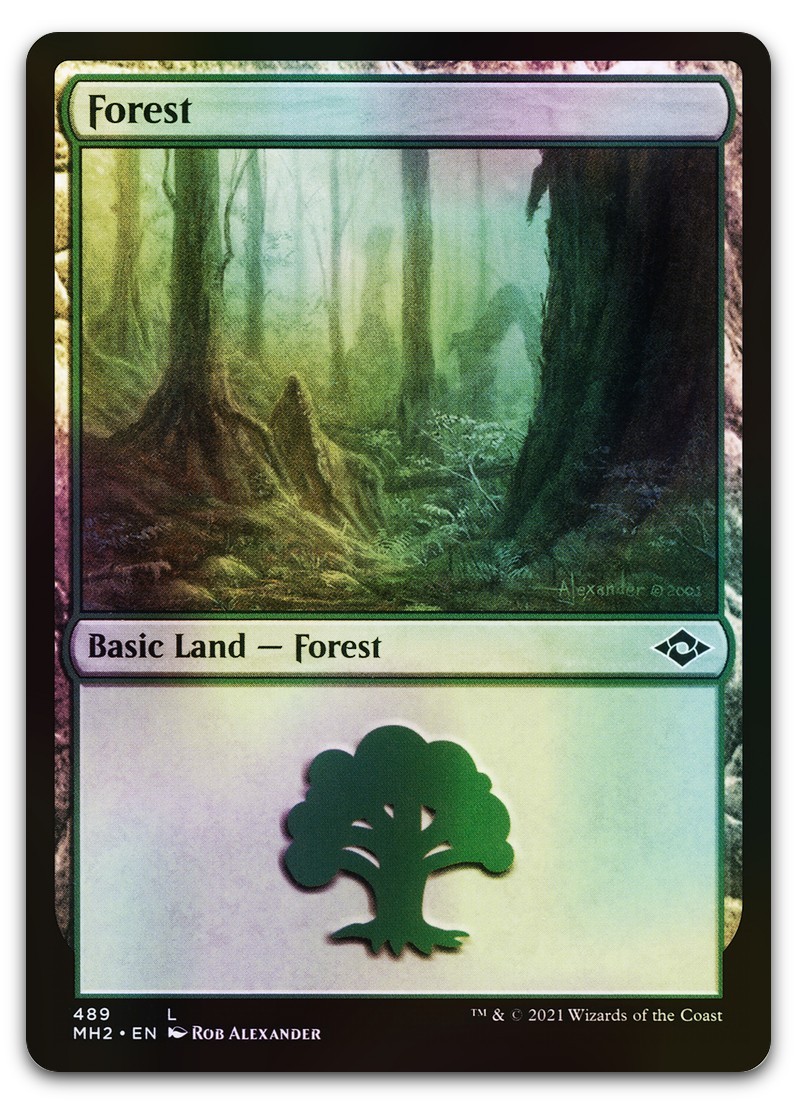 Forest (489) (Foil Etched) #489 (NM) Modern Horizons 2 MH2 Magic MTG