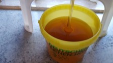 Honig, 2,5 kg Eimer, Sommerbl&uuml;te fl&uuml;ssig, Ernte 2026, direkt vom Imker