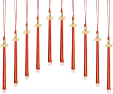 10 Pieces 2025 Graduation Cap Tassels with Gold Charms Graduation Decorations fo