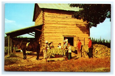 stringing tobacco leaves competition! | Foothills Farm Festival Postcard Stringing Tobacco Leaves at