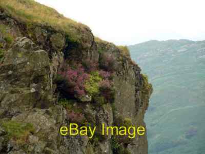 Foto 6x4 Heather on the Crag Cockley Beck\/NY2401 um 2004