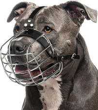 Metal Pitbull Muzzle for Large Sized Dog   Basket Muzzle for Dogs with Adjustabl