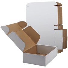 RLAVBL 12x9x4 Inches Shipping Boxes Set of 20, White Small 12x9x4,