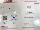 Foto 12 di 12