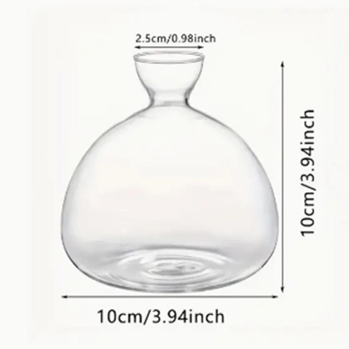 Acorn Vase Seed Holder Jar, Grow Your Own Oak Tree, Glass Vessel, Germination - Image 2 of 4