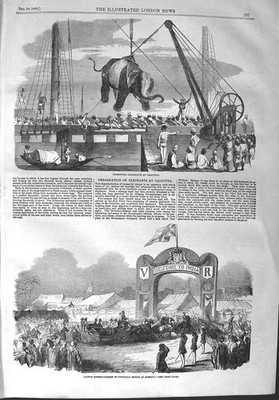 Alter antiker Druck 1858 Elefanten Kalkutta Ureinwohner Europäische Truppen Bombay 19.