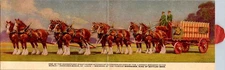 Postcard Budweiser 8 Horse Hitch Clydesdale Horses Anheuser Busch Brewery 1938