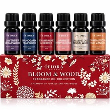 Premium Fragrance Oil Set   Highly Concentrated 0.33 Fl Oz Pack of 1 