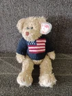 Vintage 1993 Ty Beanie Baby Grant The Bear American Flag Sweater Americana