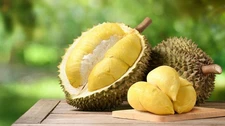 Durian Durio seeds 25 pure Ceylon durian seeds obtained king fruit FREE SHIPPING