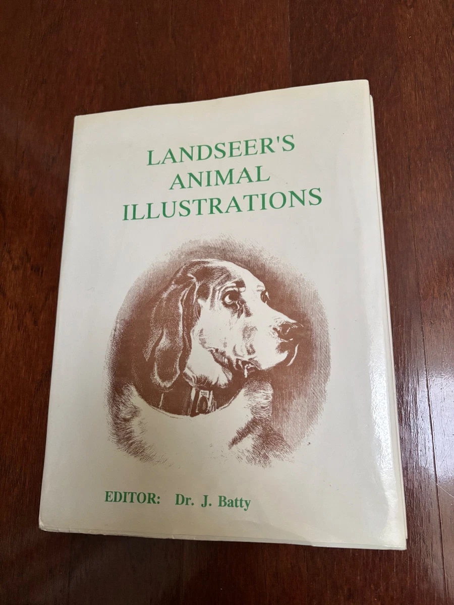 Art & Photography Wildlife Original Antiquarian & Collectible