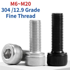Fine Thread Hex Socket Head Cap Screw Allen Bolt 304 /12.9 Grade M6-M20