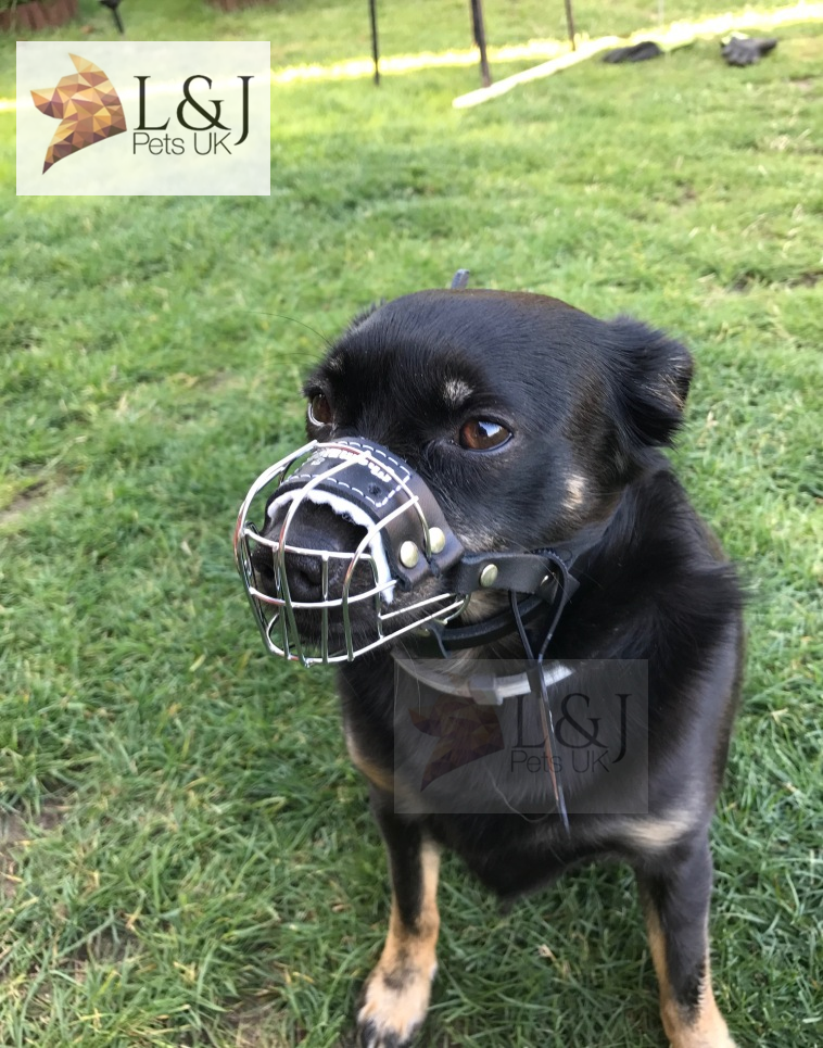 New Metal Strong Wire Basket Dog Muzzle For Pappilon Pointed Jack Russell  Others