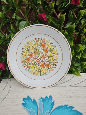 Vintage Corelli von Corning, ''Indian Summer'' Muster Abendessen Kuchen Teller 101/4''