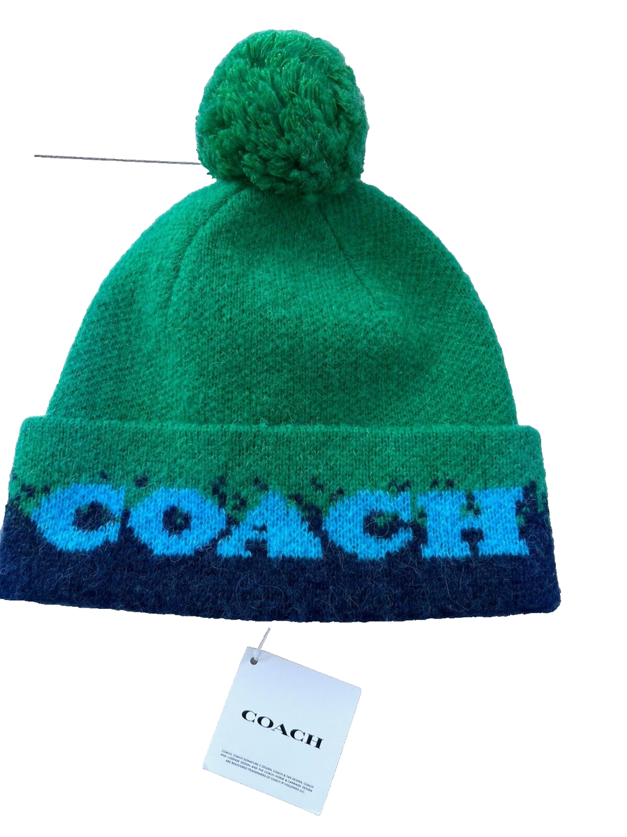 Coach Color Block Ombré Pom Beanie Hat NWT $_12.JPG?set_id=880000500F main image 3