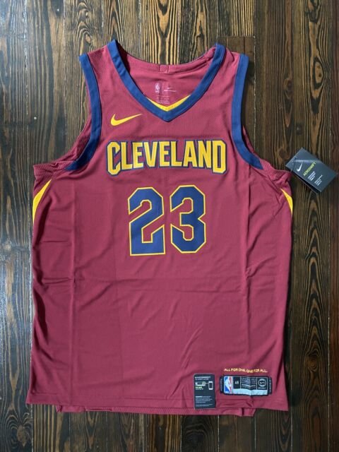 Nike Cleveland Cavaliers Lebron James 