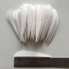 50PCS 3inch White Parabolic Fletches Feathers Fletching RW LW