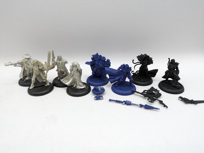 Privateer Press Warmachine: Schwanenfiguren Bundle (AP002)