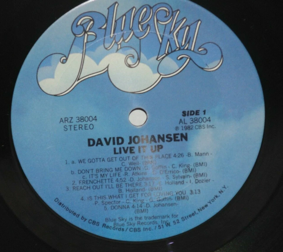 DAVID JOHANSEN Live It Up LP New York Dolls VG+ Plays Well Blue Sky ARZ 38004 Foto 2 de 4