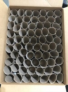 70 Empty Toilet Paper Rolls Tube Cardboard Crafts Projects Art Project