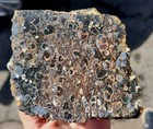 rawk11: 2.55LB Turritella Fossil Agate Rough-Ancient Fossilized Snails-Wyoming! — photo 7