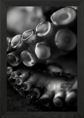 Oktopus Tentakel 1 gerahmtes Wandbild Poster Leinwanddruck Bild