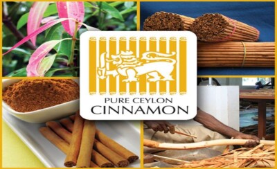 ISO GMP HACCP certified 100% Pure Organic Ceylon Cinnamon Sticks True Cinnamon