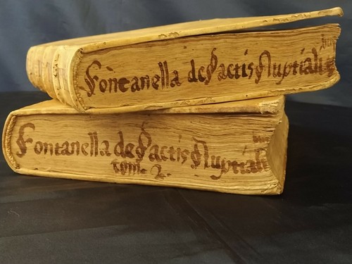 TRACTATUS DEPACTIS NUPTIALIBUS SIEU DE CAPITULIS MATRIMONIALIBUS 1645 FONTANELLA - Bild 2 von 12