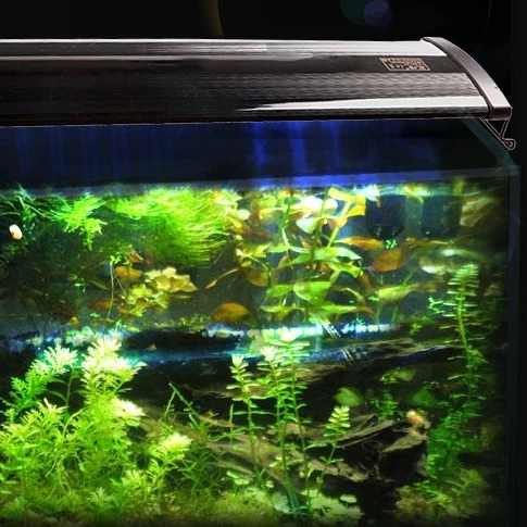 30 -120 CM Aquarium LED Lighting 1ft/2ft/3ft/4ft Marine Aqua Fish Tank Light - image 4 of 4