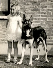 GA102 Orig Underwood Photo ME AND MY PAL Adorable Little Girl Loyal Guard Dog