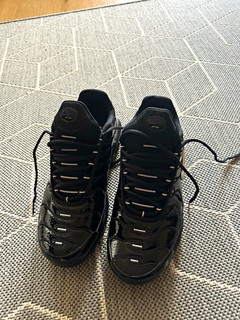 Nike Air Max Plus Herren Sneaker Schwarz EU 44 Low Top FJ2591 001 Nike TN