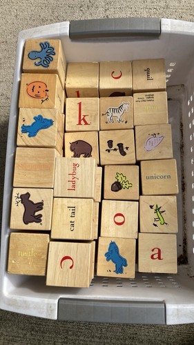 52 Wooden Alphabet Animal Blocks Set for Ages 3-7 Pottery Barn