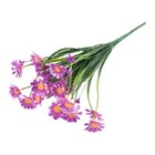 Bild 6 von 28