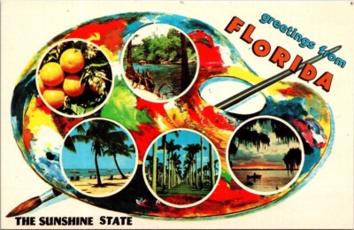 Vintage Postcard Greetings From Florida Sunshine State Oranges Beaches Art