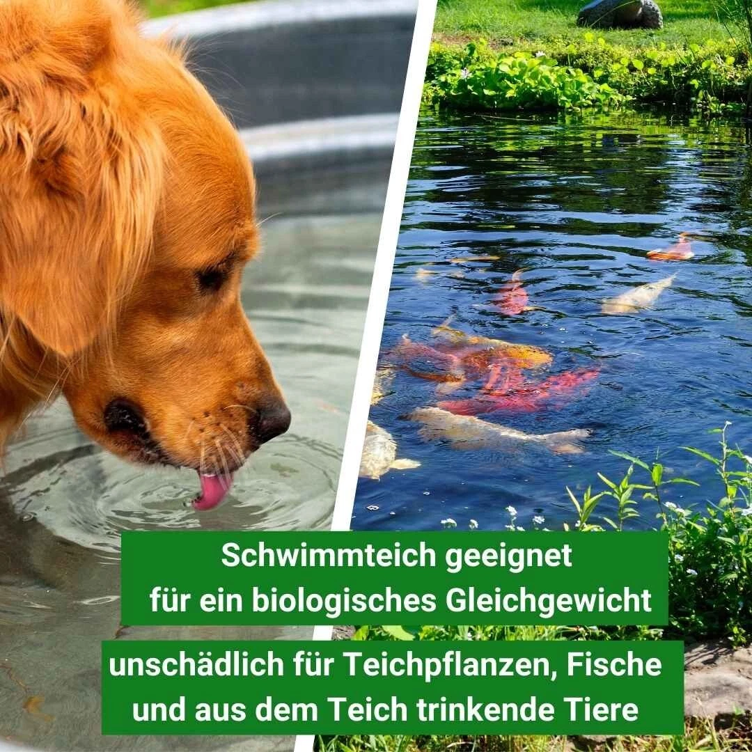 Bild 7 von 7