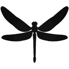 New Dragon fly Dragonfly Vinyl Decal Car Window water Bottles Pick Size Color