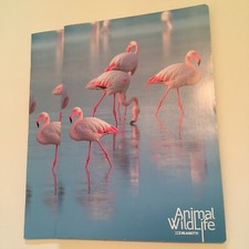 Lot of 2 Blasetti notebooks 8x11.5" squared Pink flamingos blue cover Italy