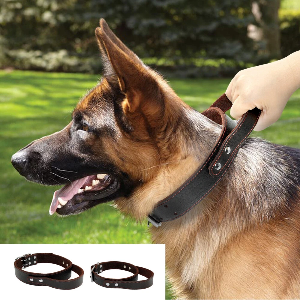 Buy German Shepherd Control Harness for Dogs